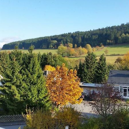 Fewos 4-Jahreszeiten Willingen (Upland) Exterior foto