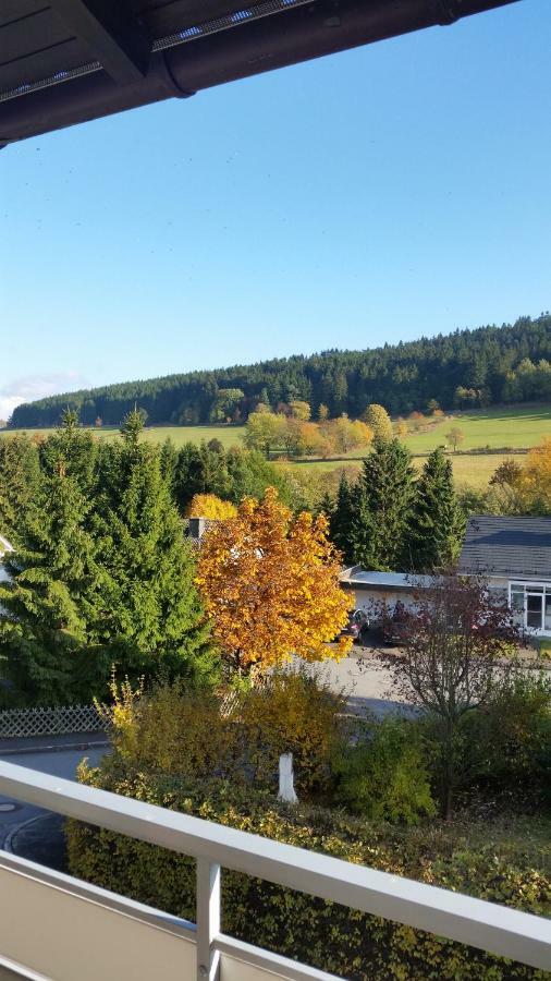 Fewos 4-Jahreszeiten Willingen (Upland) Exterior foto