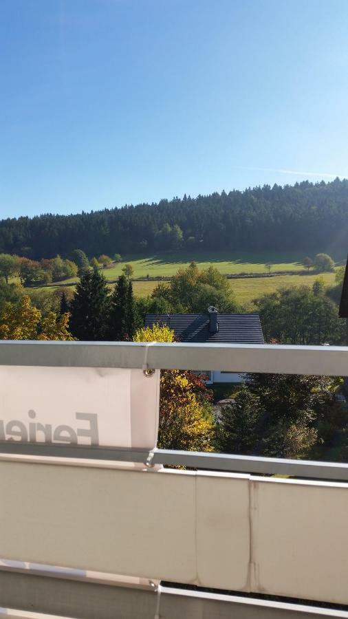 Fewos 4-Jahreszeiten Willingen (Upland) Exterior foto