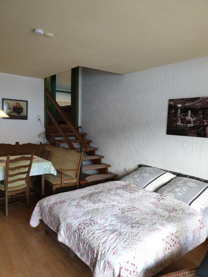 Fewos 4-Jahreszeiten Willingen (Upland) Exterior foto
