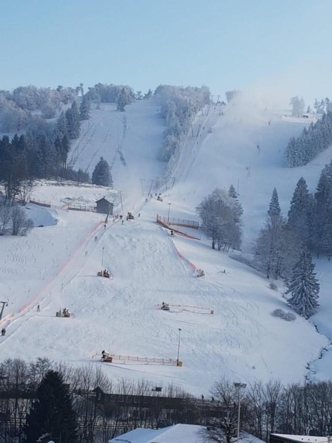Fewos 4-Jahreszeiten Willingen (Upland) Exterior foto