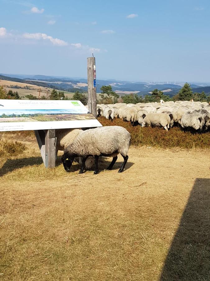 Fewos 4-Jahreszeiten Willingen (Upland) Exterior foto